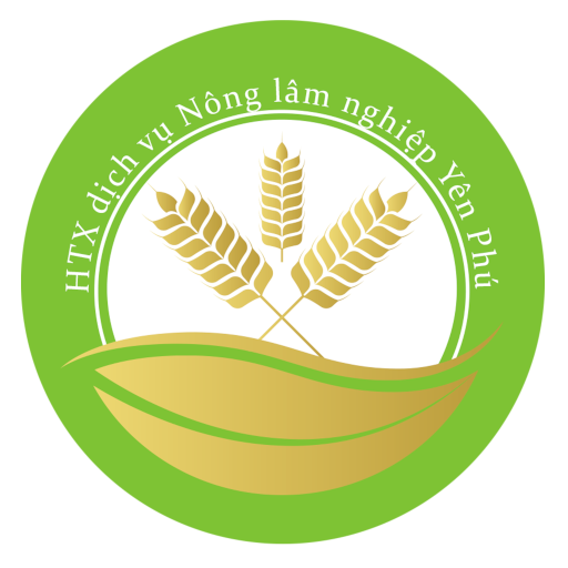 Nông sản